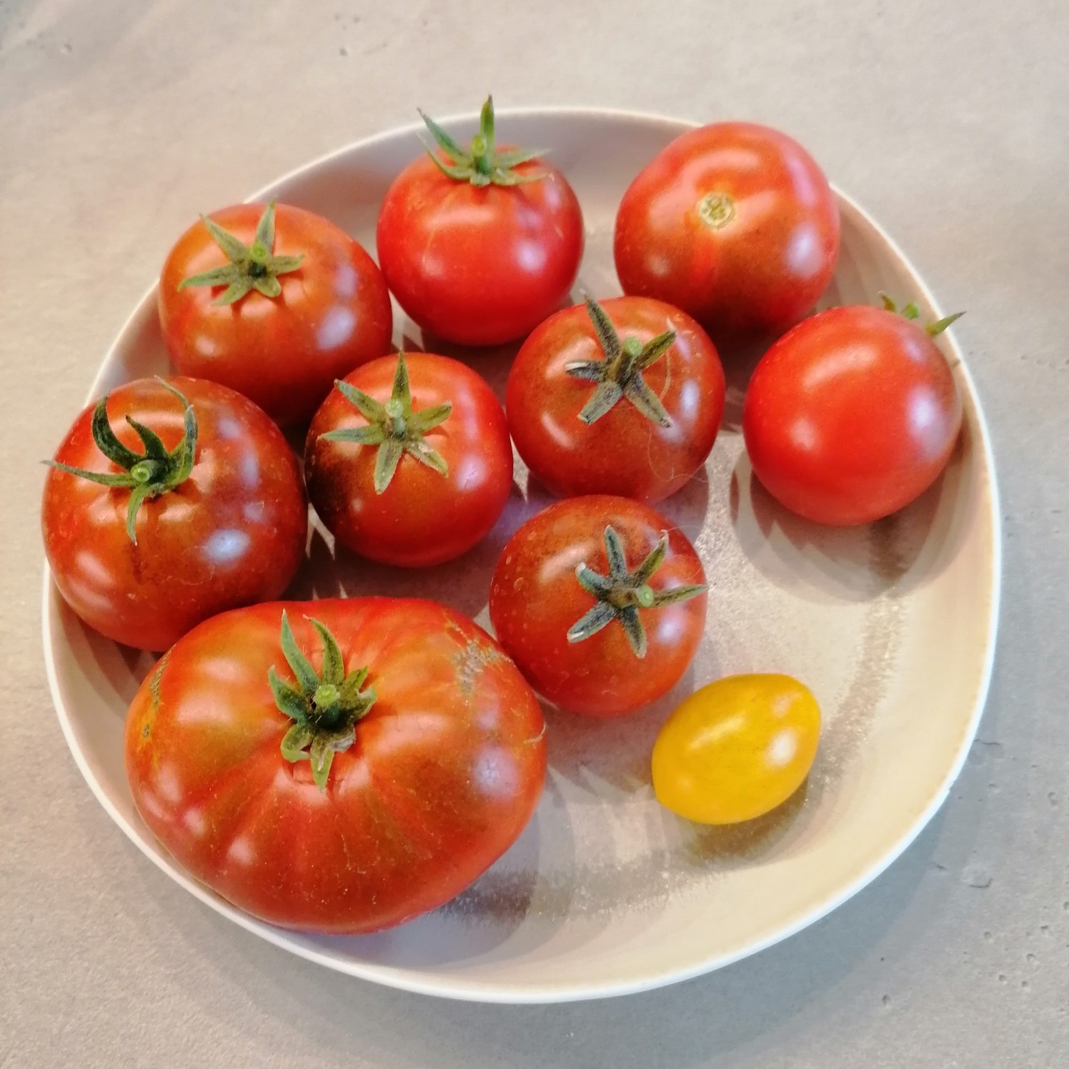 Project Image PlaceHolder